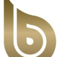 Bisgen Otomotiv Servis logosu