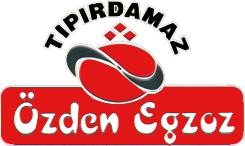 Özden Egzoz logosu