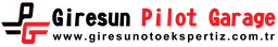 Pilot Garage logosu