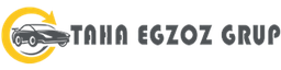 Taha Egzoz Tekirdağ logosu